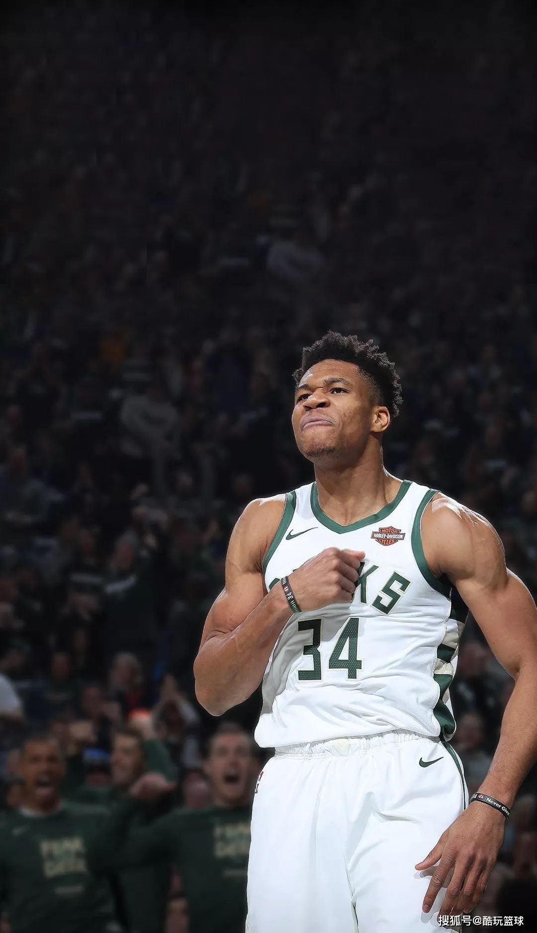 小型案例分 小型案例分